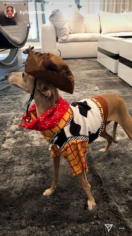 déguisement animaux halloween chien Kylie Jenner 